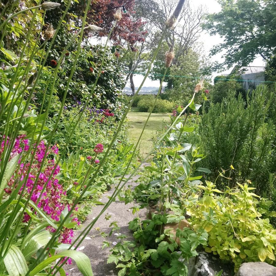 Killough Unique Townhouse With Large Garden Down To The Seaヴィラ エクステリア 写真